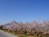 P210001302